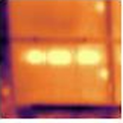 Single diode