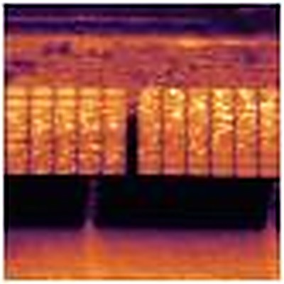 String (reversed polarity)